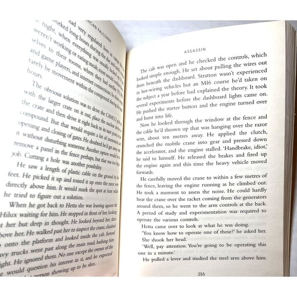 Duncan Falconer Assassin Paperback Novel Book John Stratton 358 Pages  2012 - Picture 10 of 14